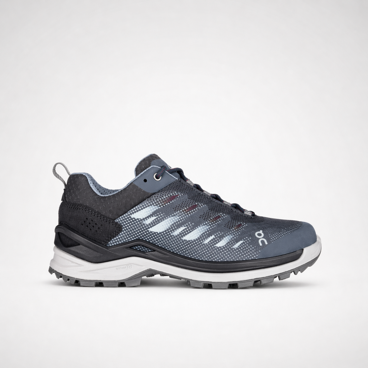 FERROX GTX LO Ws