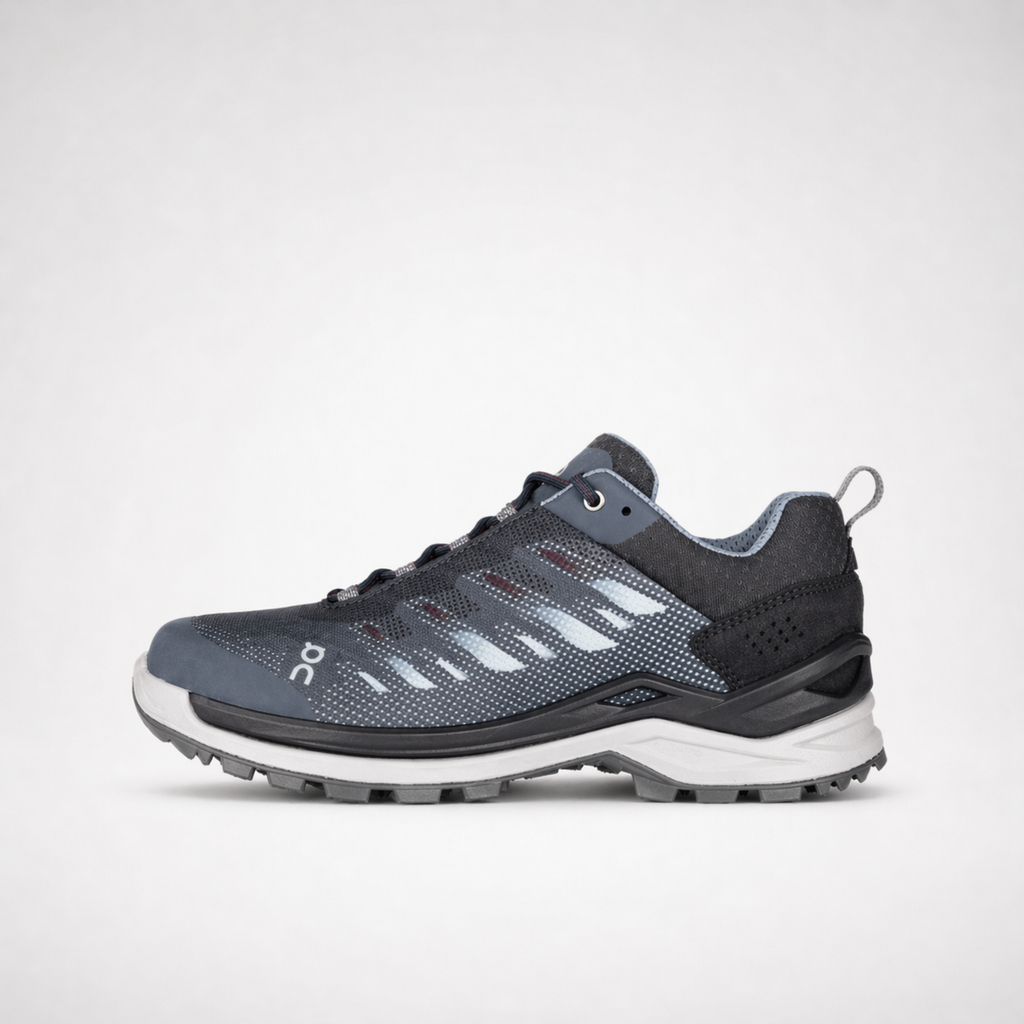 FERROX GTX LO Ws