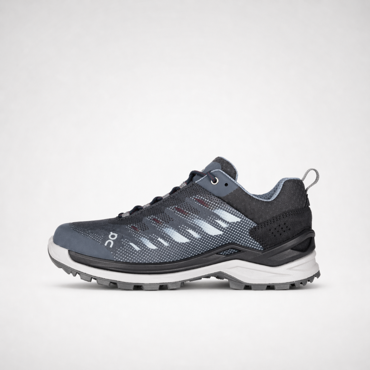 FERROX GTX LO Ws